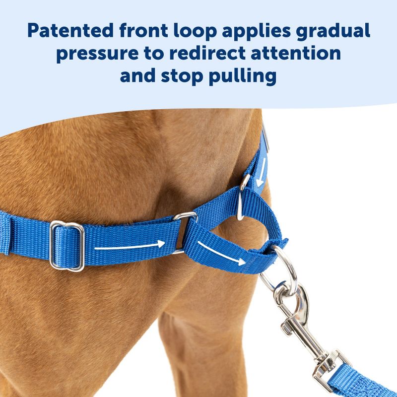 PetSafe Easy Walk Adjustable Dog Harness, 6 of 9