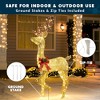 Joiedomi 150 LED 5.5 FT Lighted Christmas Xmas Reindeer Yard Lights Decorations - 3 of 4