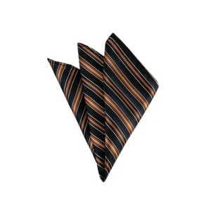 TheDapperTie - Men's Stripe Woven 10 Inch x 10 Inch Pocket Squares Handkerchief - 1 of 3