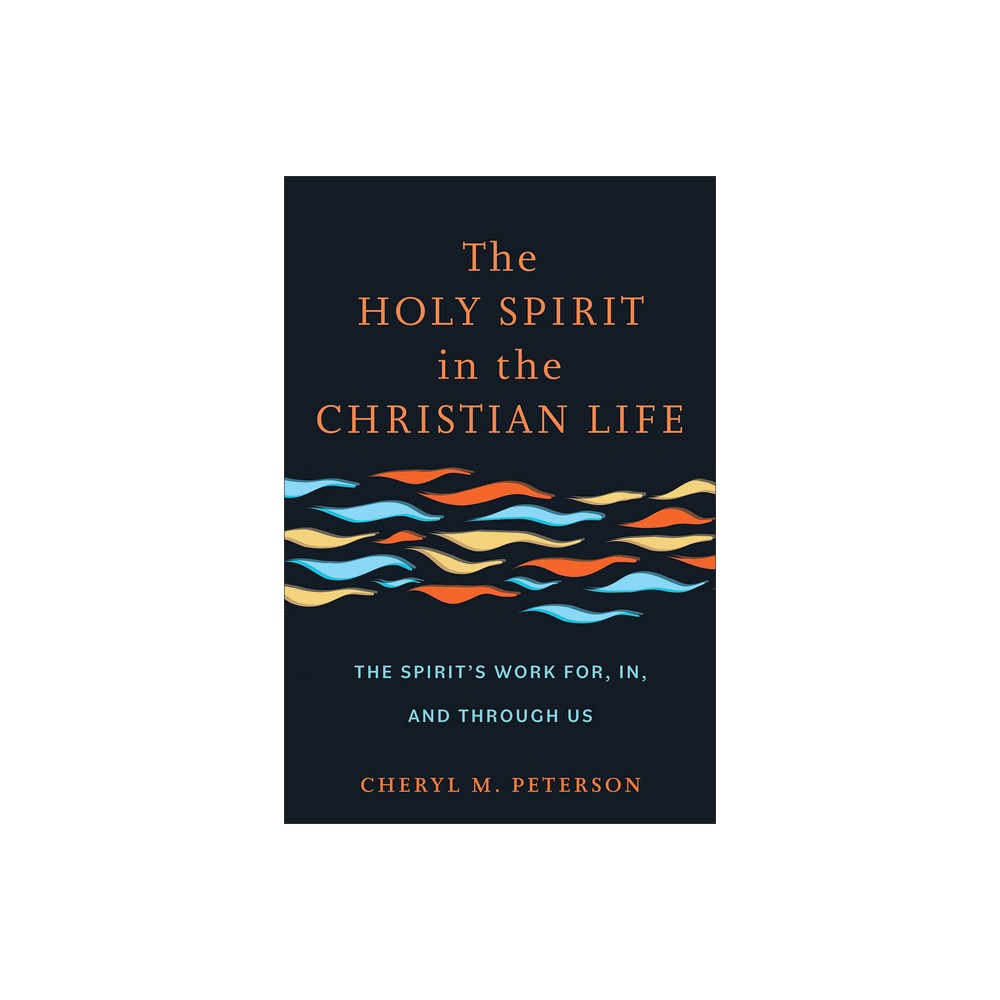 The Holy Spirit in the Christian Life - by Cheryl M Peterson (Paperback)