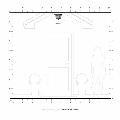 Bronze 2-Light Indoor/Outdoor Flush Mount with Clear Glass
