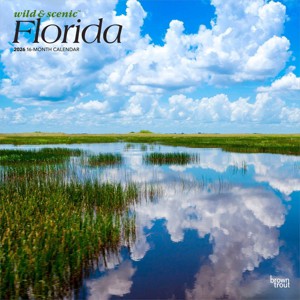 BrownTrout Florida Wild and Scenic 2026 12"x24" Hanging Square Wall Calendar Plastic-Free - 1 of 4