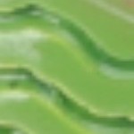 black, white, red, green