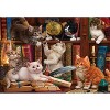 Anatolian Kittens in the Library 500 pc   Jigsaw Puzzle 3618 - 2 of 4