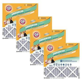 Arm & Hammer 4pk Air Filters