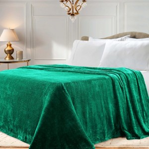 Fleece Plush Medium Weight Fluffy Soft Solid Decorative Blanket by Blue Nile Mills - 1 of 4