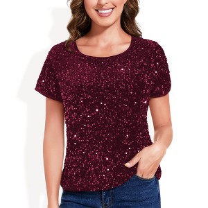 Anna-Kaci Women's Short Sleeve Crew Neck All-Over Sequin Embellished Top Stylish Sparkling Blouse - 1 of 4
