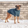 GF PET Chalet Sweater - 4 of 4