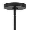 Lark Betty 1 - Light Pendant in  Black - 4 of 4