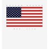 Americana United States Est 1776 Adult Long Sleeve Hoodie - 2 of 2