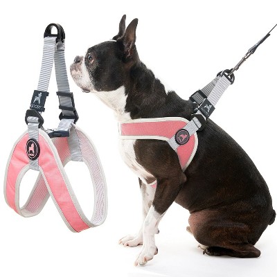 Gooby Simple Step in III Harness Pink, X