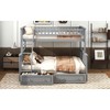 Twin Over Full Bunk Bed with Drawers for Bedroom - 4 of 4