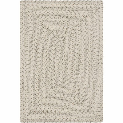 Hauteloom Beige Braided Faux Jute Rug