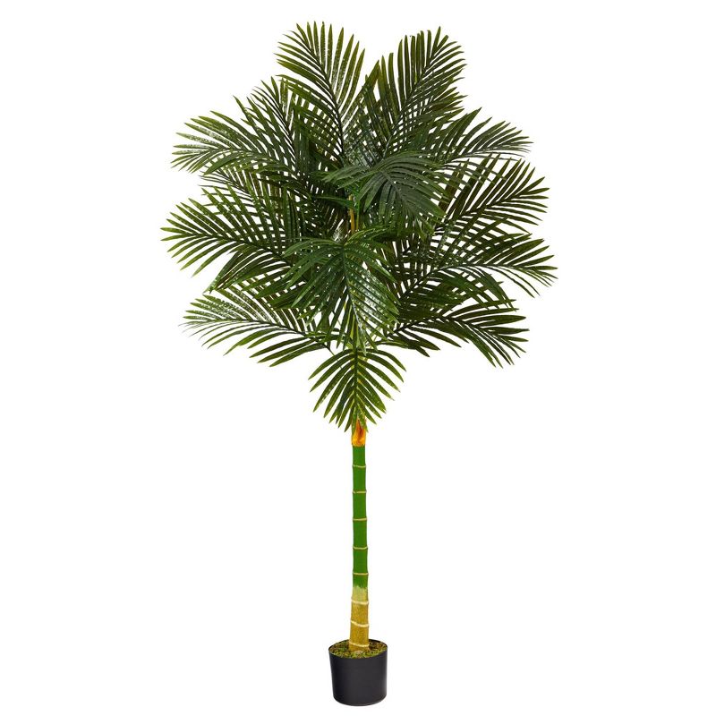 Nearly Natural 6-ft Single Stalk Golden Cane Artificial Palm Tree, 1 of 5