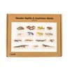 TickiT® Wooden Reptile & Amphibian Blocks - Set of 15 - image 3 of 4