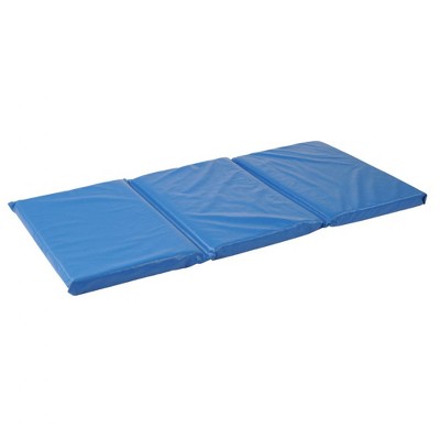 2'x4' Rectangle Solid Floor Mat Blue - Kaplan Early Learning Company