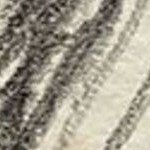 belvedere bronze