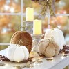 The Lakeside Collection Cream and Gold Harvest Decor - 2 of 4