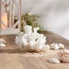 Set of 4 White Resin Coral Decorative Sculptures - 3 of 3