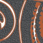 texas longhorns