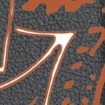 texas longhorns