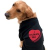 I Tolerate You Dog Shirt Funny Sarcastic Valentines Day Candy Heart Graphic - Crazy Dog Dog Shirt - 3 of 4