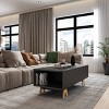 Nexera Runway Coffee Table Gray: Contemporary Chevron Design, Storage Compartments, Birch Plywood Legs - 4 of 4