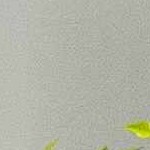 ivory, charcoal, tan, beige, mediumgray, deepteal