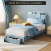 Kids Bed Frame,Twin Kids Bed Frame with Bookcase Headboard, Velvet Upholstered Platform Bed Frame with Under-Bed Drawer - 4 of 4