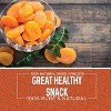 Herbaila Dried Apricots – No Sugar Added, Turkish Dried Fruit, All-Natural & Non-GMO – 1lb Bulk Bag - 3 of 4