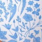 botany floral