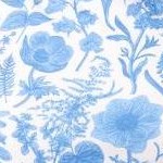 botany floral