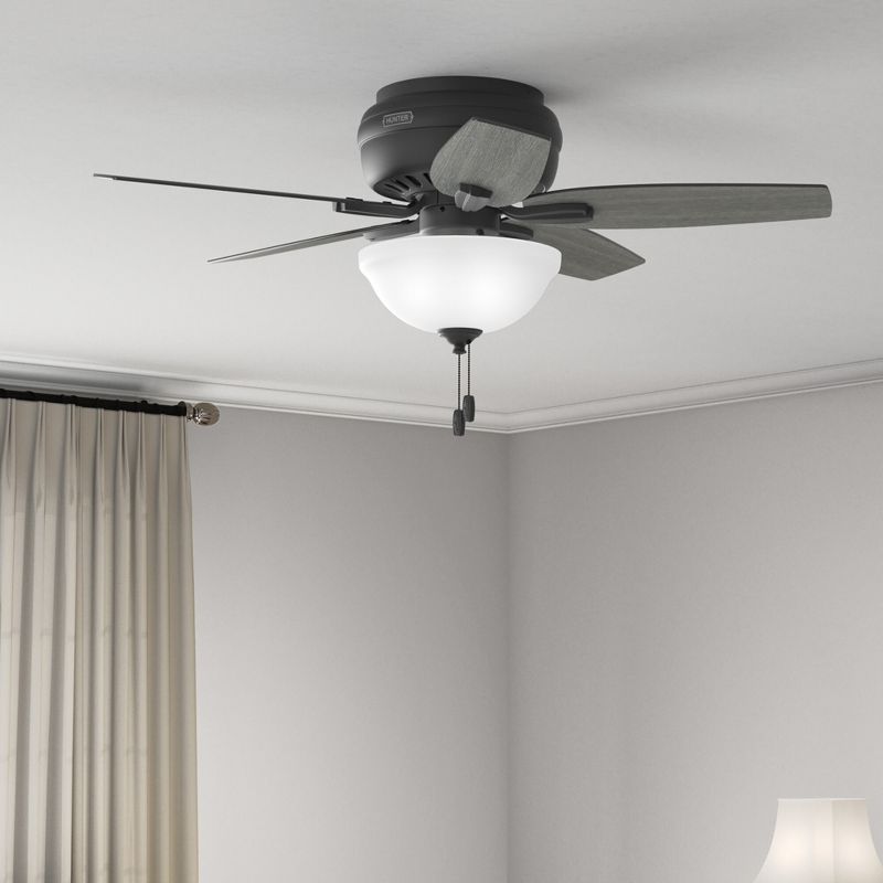 42" Newsome Low Profile Ceiling Fan (Includes LED Light Bulb) - Hunter Fan, 4 of 14