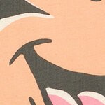 mickey mouse, big brother