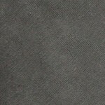 mickey mouse, big brother