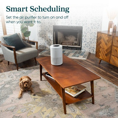 Levoit Core 200S Smart Gray True HEPA Air Purifier