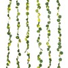Faux Eucalyptus LED Curtain Vine Warm String Lights White/Green - West & Arrow - 3 of 4