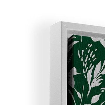 white frame