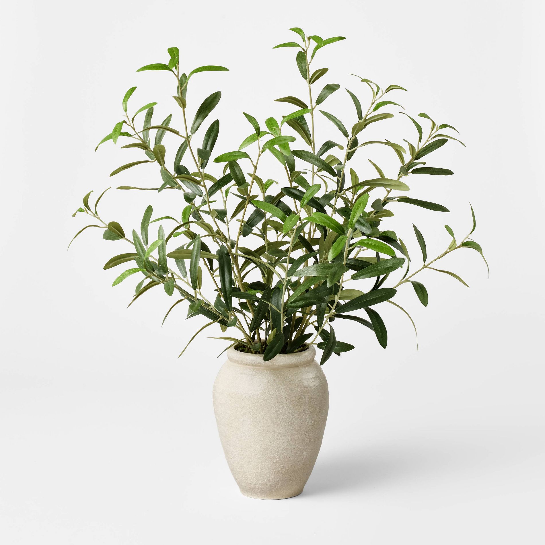 Large Olive Leaf Arrangement - Threshold™ designed with Studio McGee