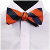 Men's 2.75 W And 4.75 L Inch With Pre-Tied College Stripe Bowtie - 3 of 3