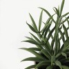 Luckygreenery Checker Planter with Faux Succulent Greenery Orange/Stucco - 2 of 3