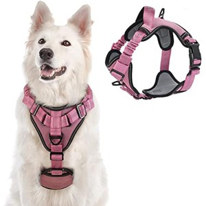 rabbitgoo Dog Harness, No Pull Dog Vest for Large Dogs with Soft Padded (Pink XL) - 1 of 1