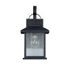 Chloe Lighting Hinkley Transitional 1 Light Black Outdoor Wall Sconce 13" Height - 3 of 3