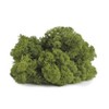 SuperMoss Preserved Reindeer Moss Decorative Filler: Soft, Spongy Indoor/Outdoor Craft Material - Green - 2 of 4