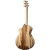 Breedlove Oregon All Solid Myrtlewood Special-Edition Concert Acoustic-Electric Guitar Natural - 4 of 4