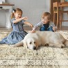 Hallway Runner Rug Machine Washable Vintage Rug Indoor Carpet - 4 of 4