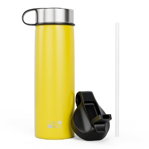 Costway 22 oz Double Wall Insulated Water Bottle Stainless Steel w/ 2 Lids & Straw - 1 of 4