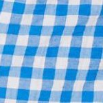 bright cobalt gingham