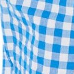 bright cobalt gingham