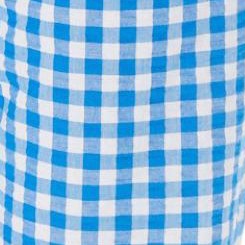 bright cobalt gingham